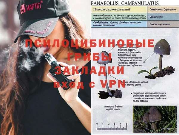 а пвп мука Алзамай