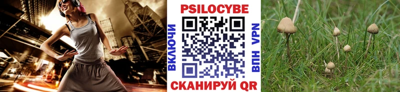 Галлюциногенные грибы мицелий  Павловский Посад 